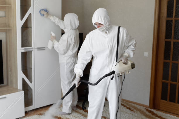 24/7 Emergency Odor Removal experts in Dixon, IL