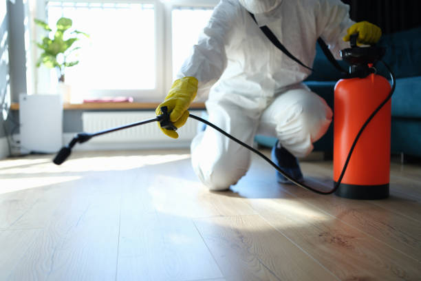 Reliable Odor Removal contractor in Dixon, IL by Trauma Clean Pros